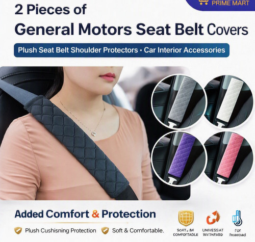 2pcs car seat - seat, belt