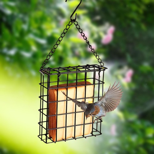 Bird suet cake feeder garden - bird,