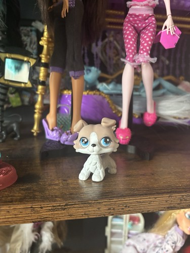 Lps collie littlest - collie,