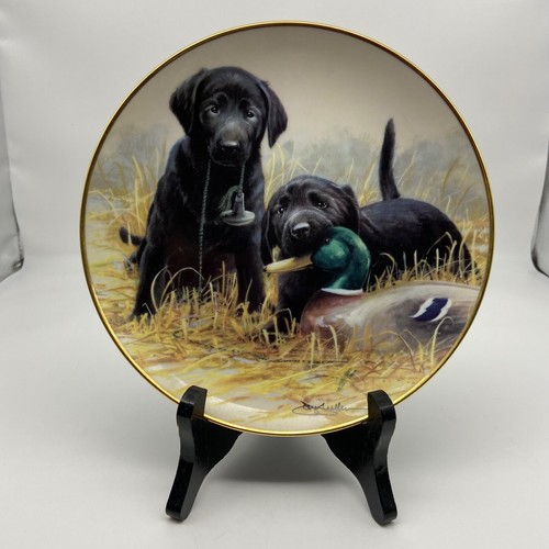 Beginner luck franklin mint - beginner's,