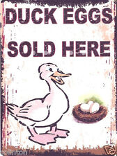 DUCK EGGS SOLD HERE metal wall