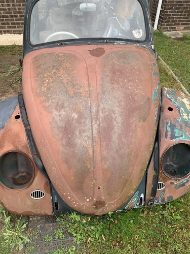 Classic beetle tab - classic, long