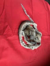 Half Shed Img Anery 66% Het
