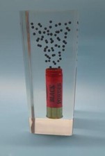 Clear acrylic block containing cartridge case and shot