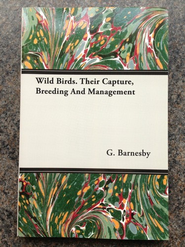 Wild birds trapping - wild,
