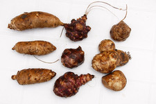 9 MIXED JERUSALEM ARTICHOKE