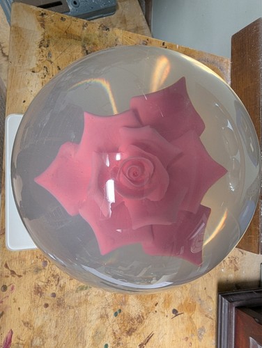 Clear pink rose - rose, lane