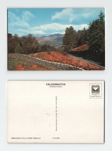 Vintage postcard ambleside - vintage,