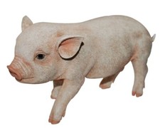 Micro Pig Piglet - Lifelike