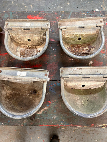 Vintage galvanised cattle - galvanised,
