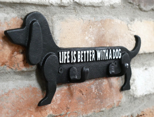 Sausage dog dachshund - dog, coat