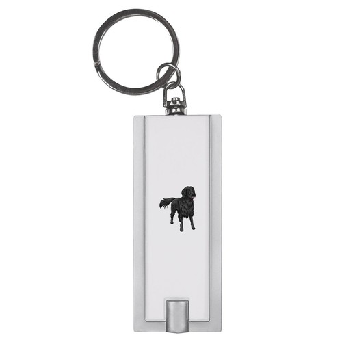 Flat coated retriever led - retriever',