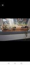 Wicker Basket For Plants Or Bathroom / Window Sil / toilet roll holder / Boho 