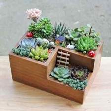 Multi-Function Wooden Garden