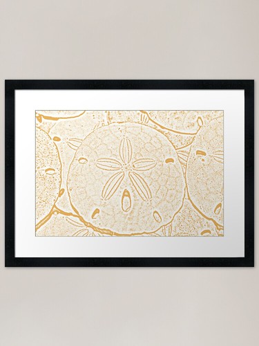 Sand dollar framed - sand, art