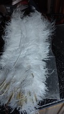 150 Large White Ostrich
