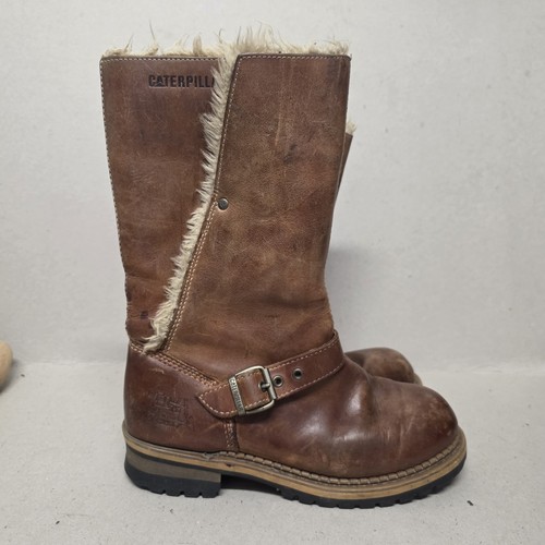 Cat women caterpillar - cat, brown