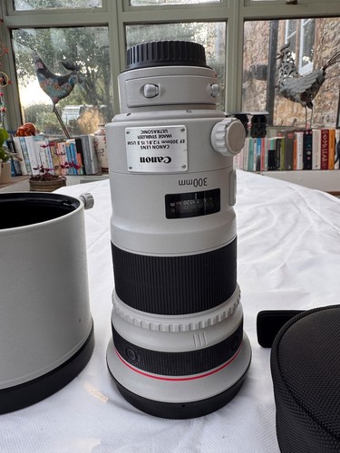 Canon 300mm ii - canon,