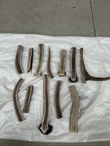 Scottish kilo deer split - 1,