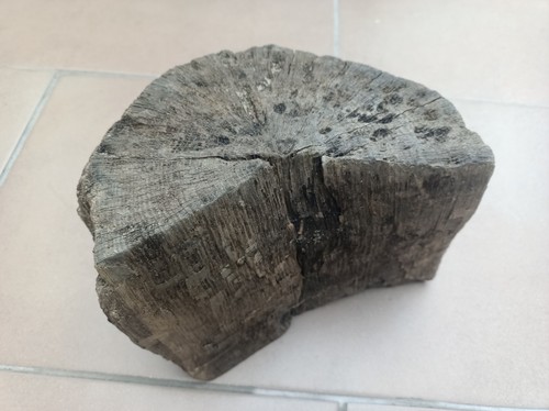 Large unique driftwood - unique,