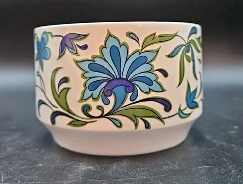 Midwinter spanish garden open - spanish,