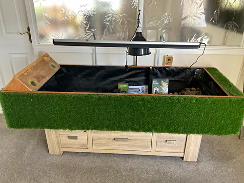 Wooden reptile vivarium - reptile,