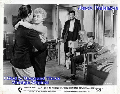 Shelley winters jack palance - shelley, winters,jack