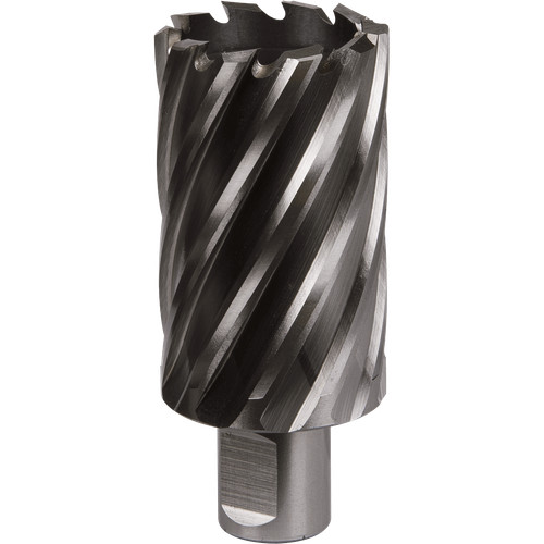 Sealey rotabor weldon shank - sealey,
