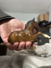 Beswick Bay Foal Laying Down