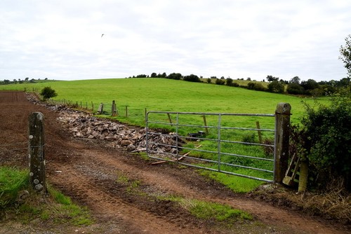 Photo 6x4 open field - 6x4, an