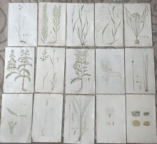 15 copperplate engravings