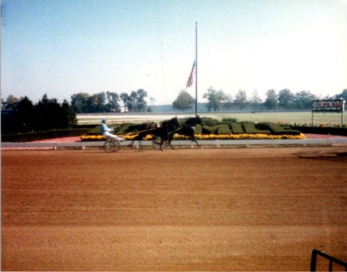 1985 photo harness - 1985, racing
