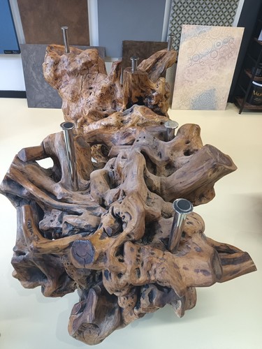 Tree root table - tree,
