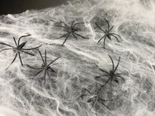 Spider web 10 spiders - web, w/