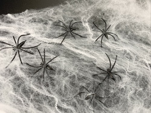 Spider web 10 spiders - spider,