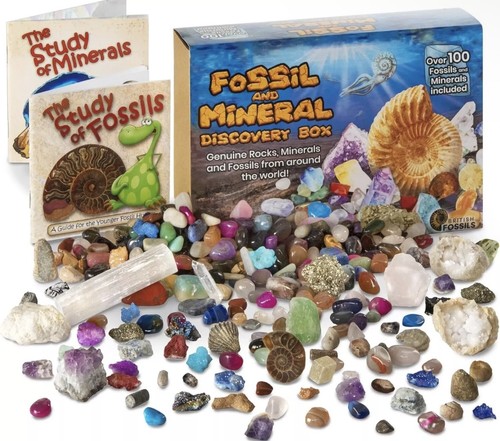 Fossil and mineral discovery - fossil,
