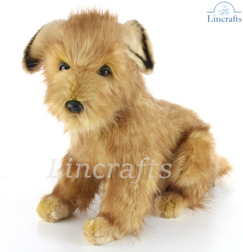 Hansa large norfolk terrier - hansa,