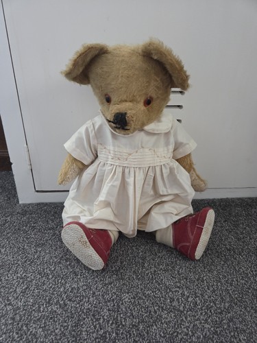 Vintage pedigree bear - vintage,
