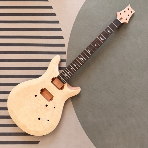 Diy prs style - prs, electric