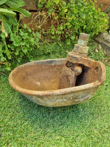 Cast ali water bowl - cast,