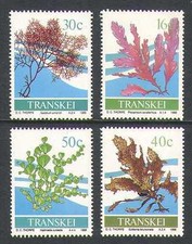 Transkei 1988 Seaweed/Plants/Marine 4v set (n21520)