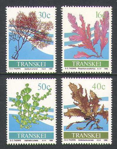 Transkei 1988