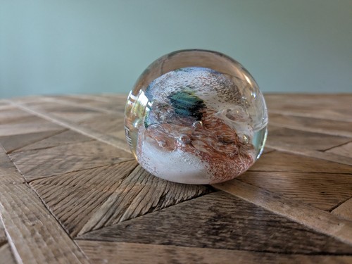 Art glass paperweight coral - art,