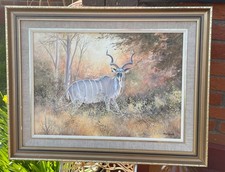 African kudu bull by Wim Kosch