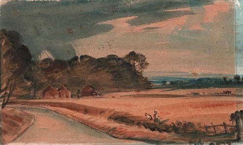 Cambridgeshire landscape - landscape,