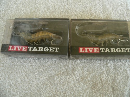 Live target sand shrimp - target,