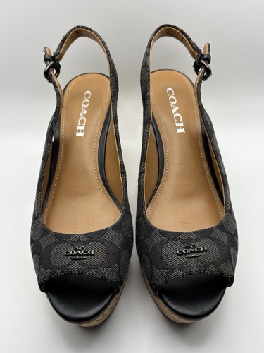 Coach ferry size b - coach, 7.5