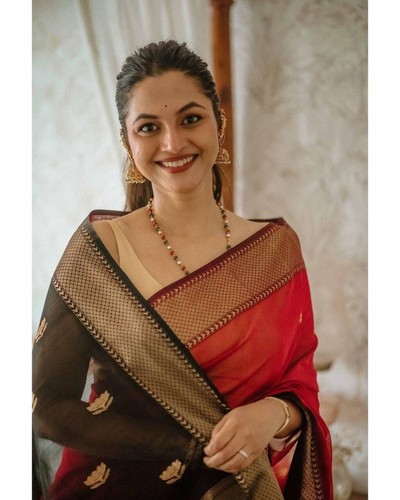 Party wear saree - party, blouse