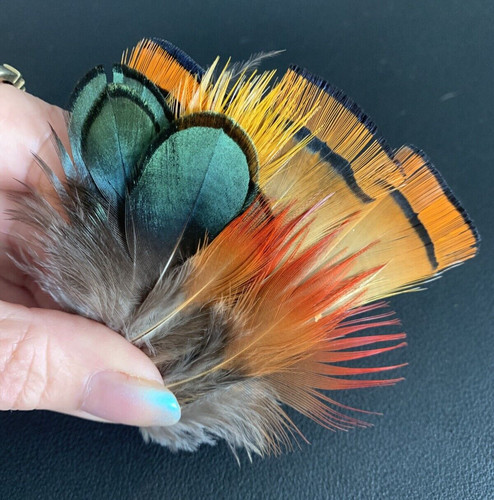 20pcs golden pheasant plumage - 20pcs,