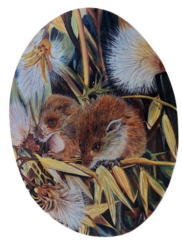 Harvest mouse plaque - plaque,